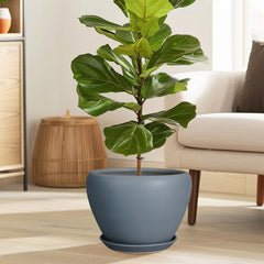 Ceramicfor 10 Inch Matte Gray Planter Pot with saucer