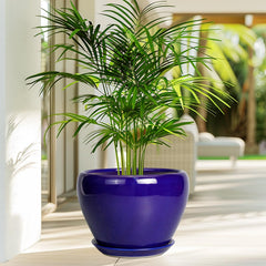 Ceramicfor 10 Inch Royal Blue Pot on a living room table