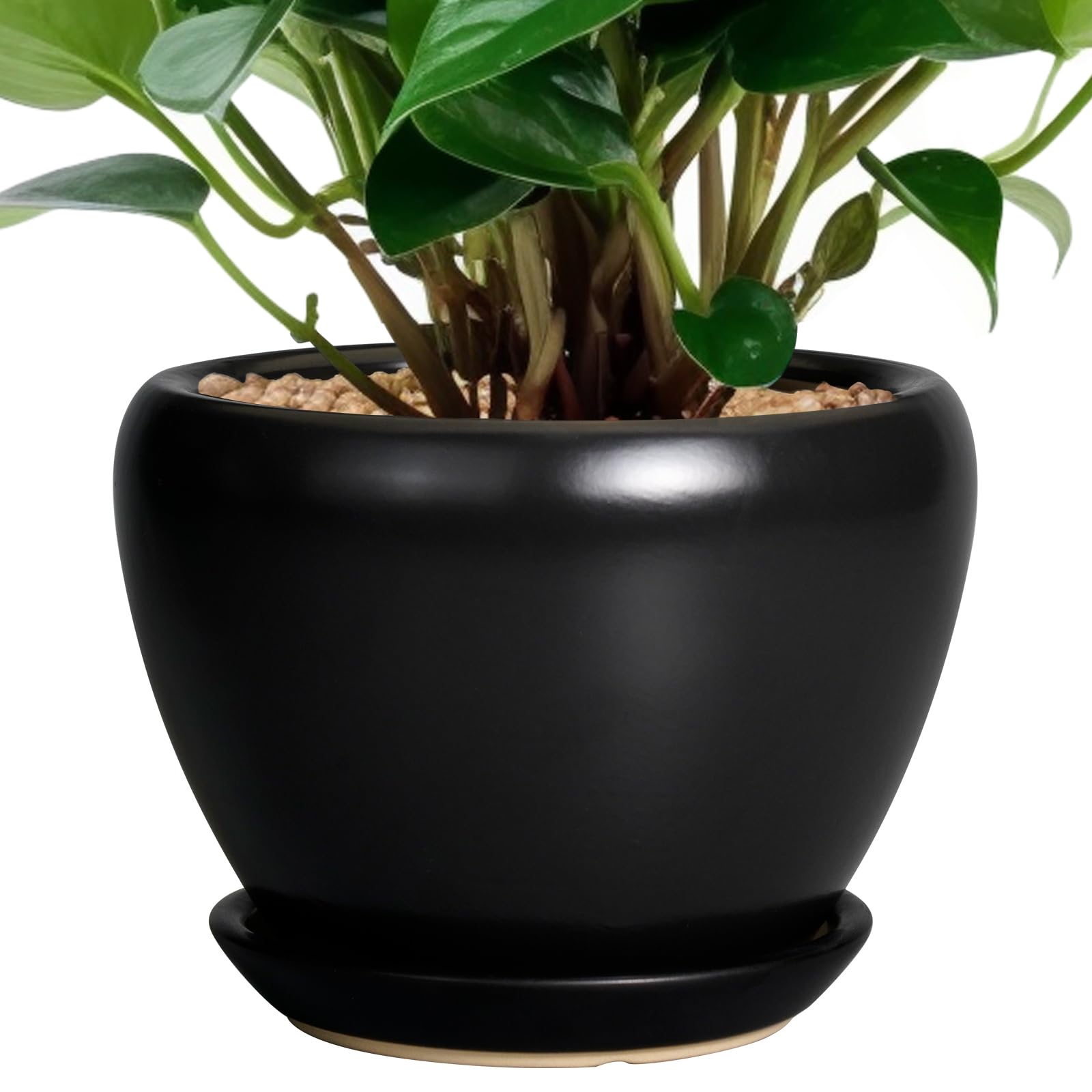 Ceramicfor 6 Inch Ceramic Planter Pot front view with drainage hole