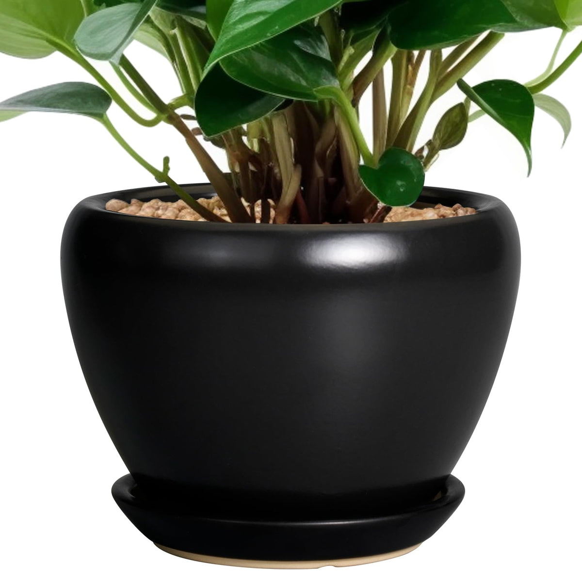 Ceramicfor 6 Inch Ceramic Planter Pot front view with drainage hole