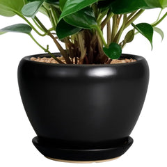 Ceramicfor 6 Inch Ceramic Planter Pot front view with drainage hole