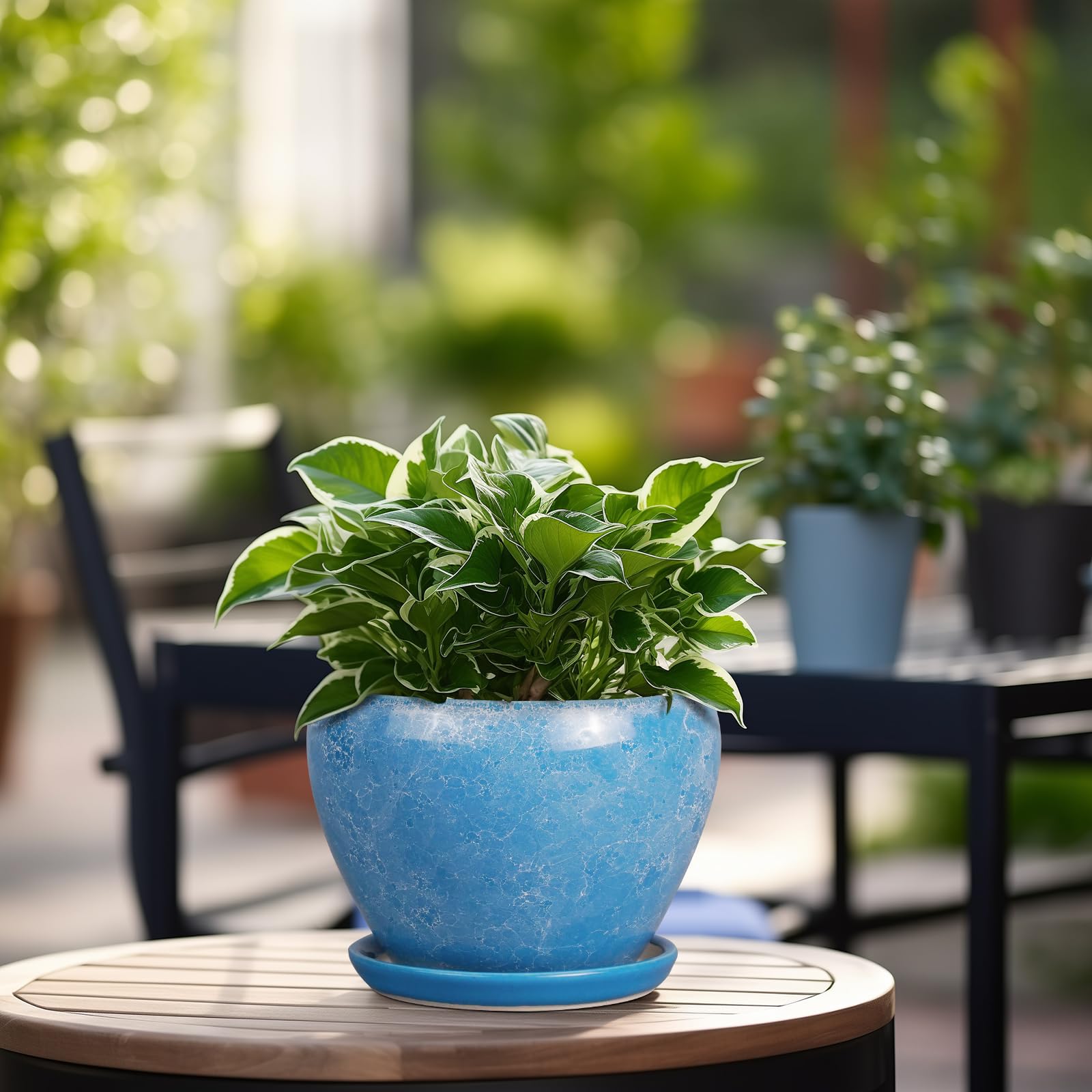 Ceramicfor 6 Inch Ceramic Planter Pot on a table