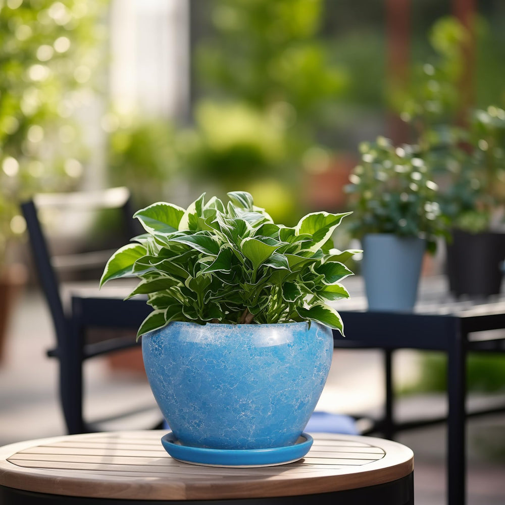 Ceramicfor 6 Inch Ceramic Planter Pot on a table