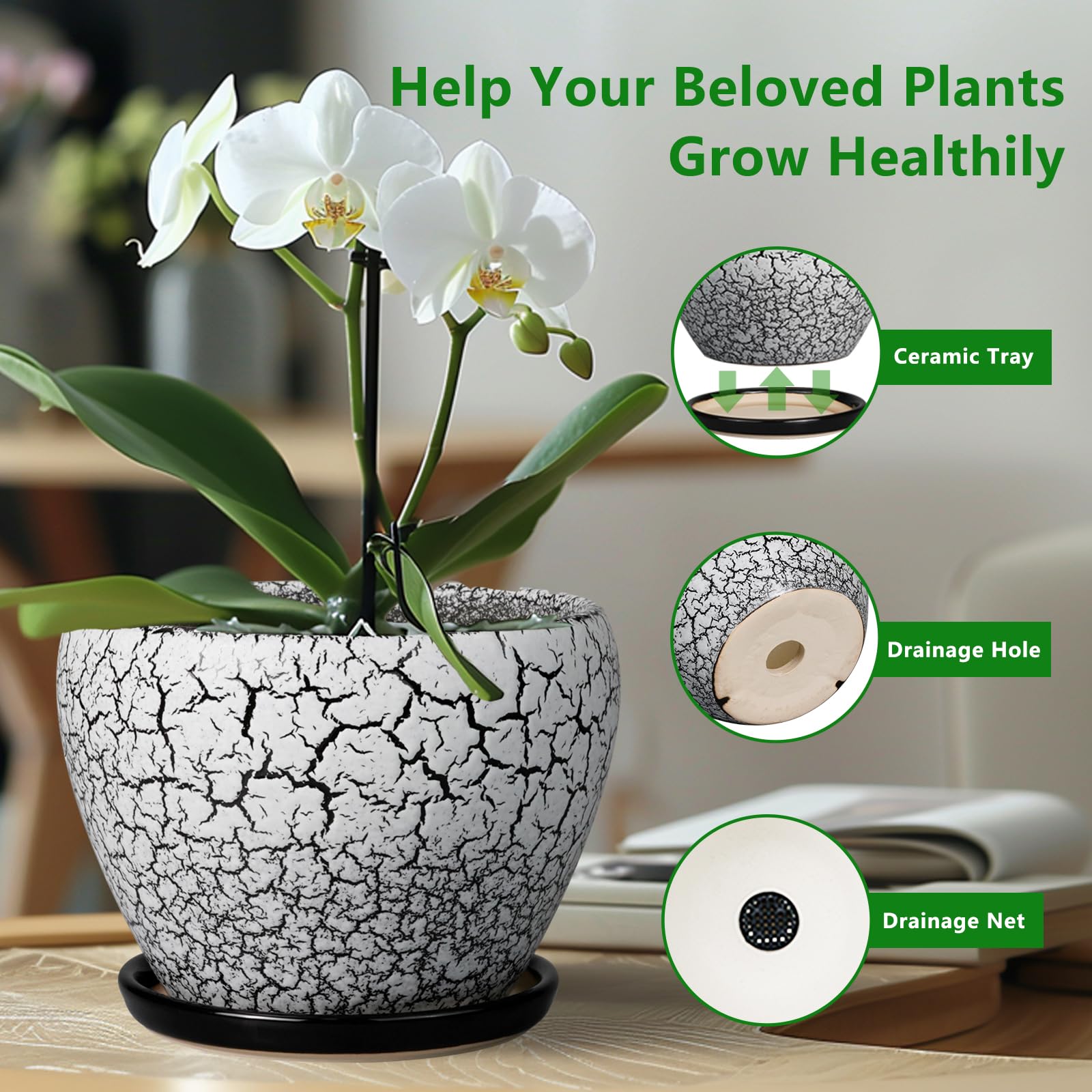 Ceramicfor 6 Inch Ceramic Planter Pot on a windowsill