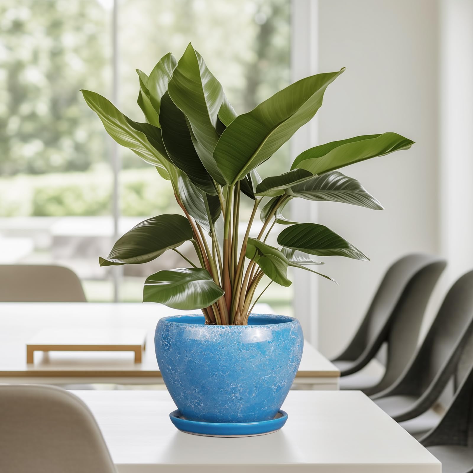 Ceramicfor 6 Inch Ceramic Planter Pot packaging view