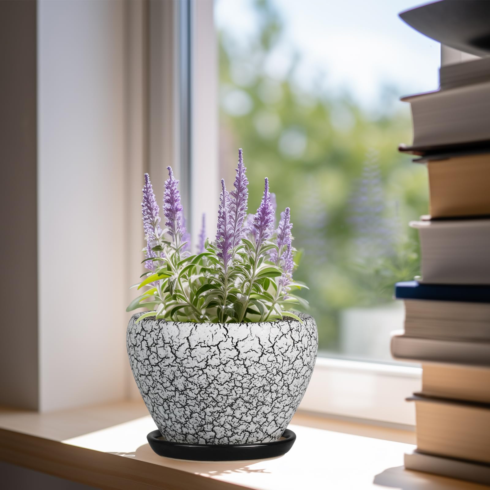 Ceramicfor 6 Inch Ceramic Planter Pot side view showing drainage hole