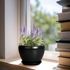 Ceramicfor 6 Inch Ceramic Planter Pot side view with saucer
