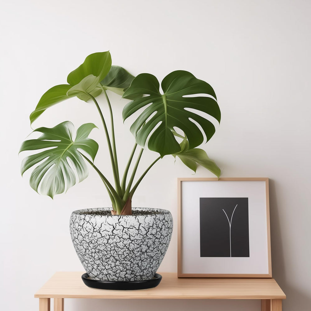 Ceramicfor 6 Inch Ceramic Planter Pot with decorative plants