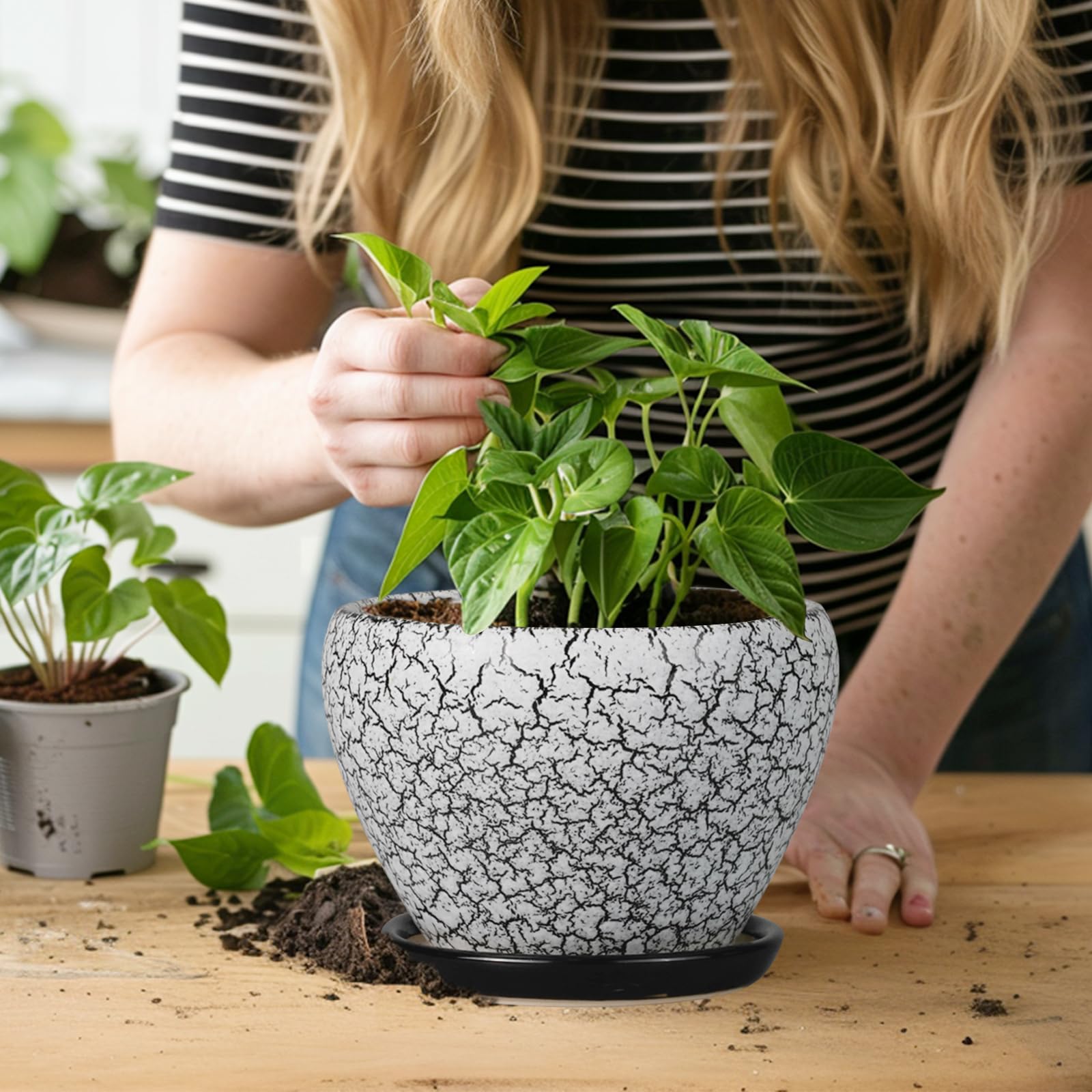 Ceramicfor 6 Inch Ceramic Planter Pot with herbs planted inside