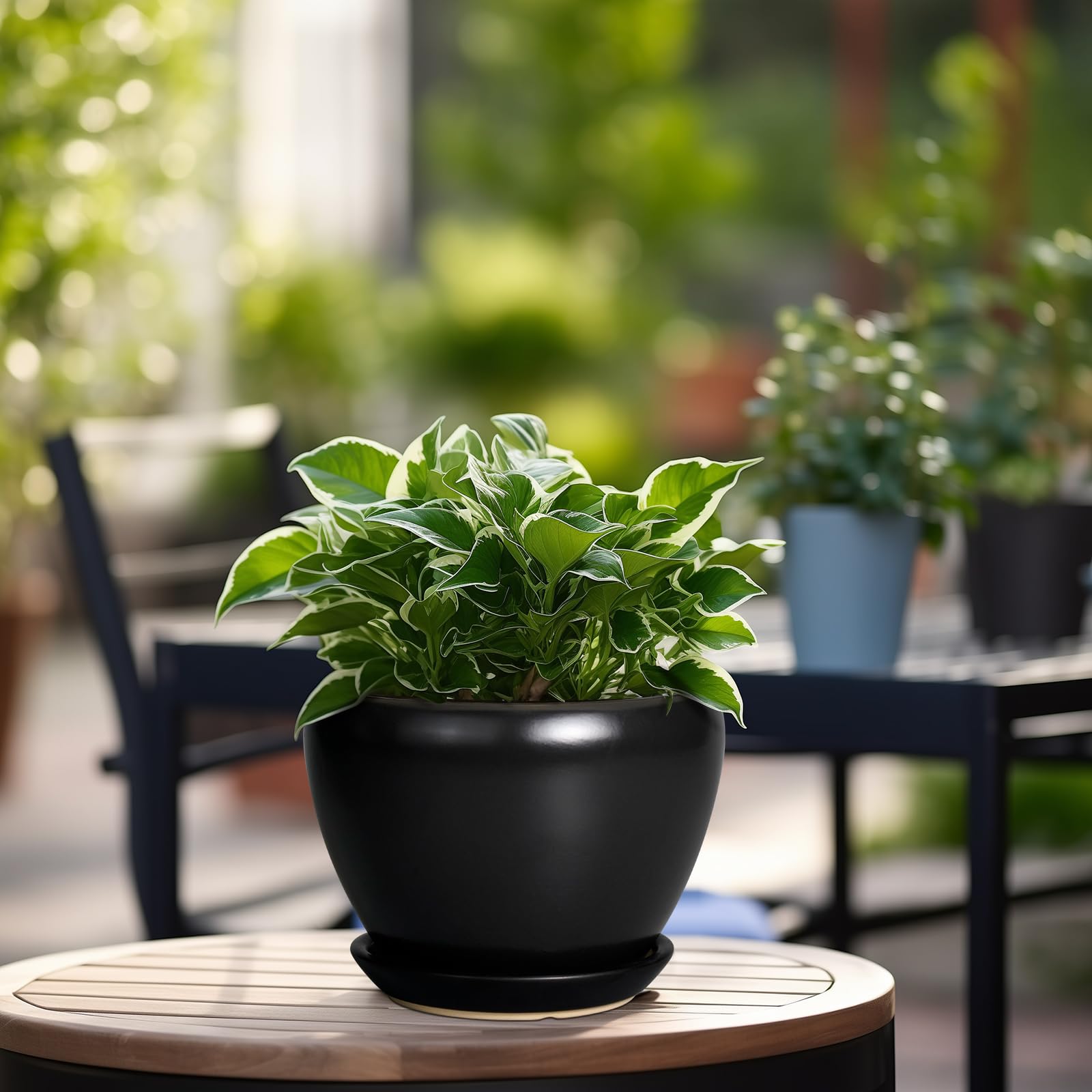 Ceramicfor 6 Inch Ceramic Planter Pot with mesh pad inside