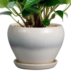 Ceramicfor 6 Inch Ceramic Planter Pot with saucer and drainage net