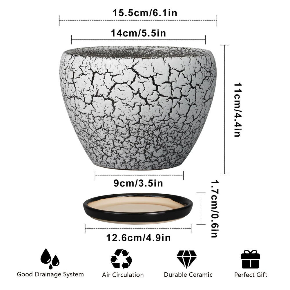 Ceramicfor 6 Inch Ceramic Planter Pot with succulent plant inside