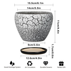 Ceramicfor 6 Inch Ceramic Planter Pot with succulent plant inside