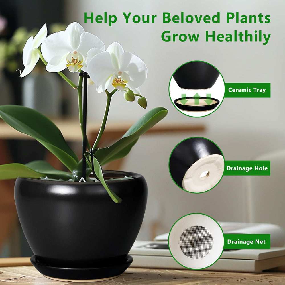 Ceramicfor 6 Inch Ceramic Planter Pot with succulent plants