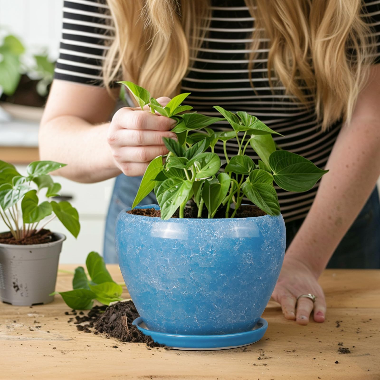 Ceramicfor 6 Inch Ceramic Planter Pot with various plants