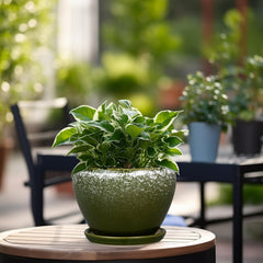 Ceramicfor 6 Inch Dark Green Planter Pot with saucer