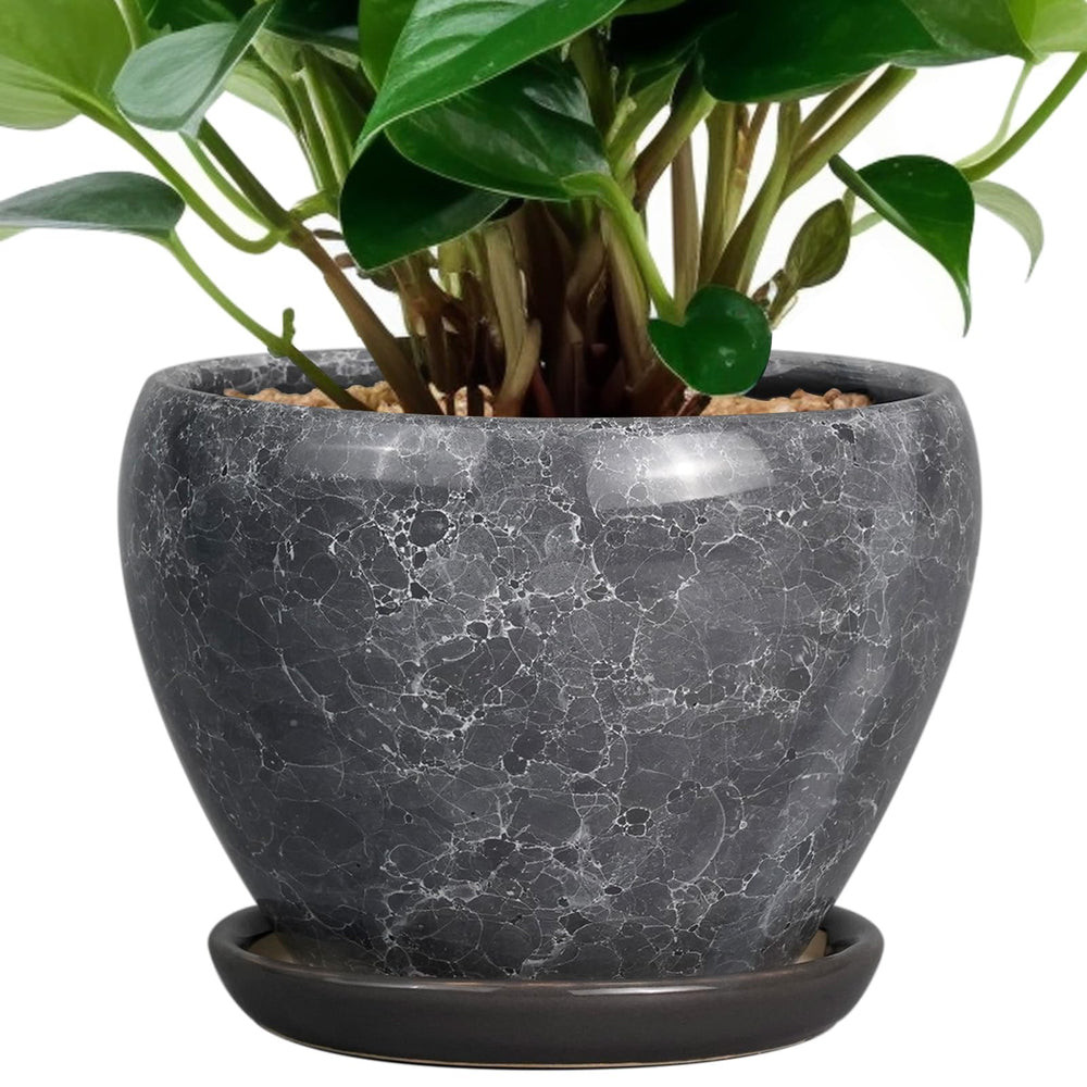 Ceramicfor 6 Inch gray ceramic planter with drainage hole
