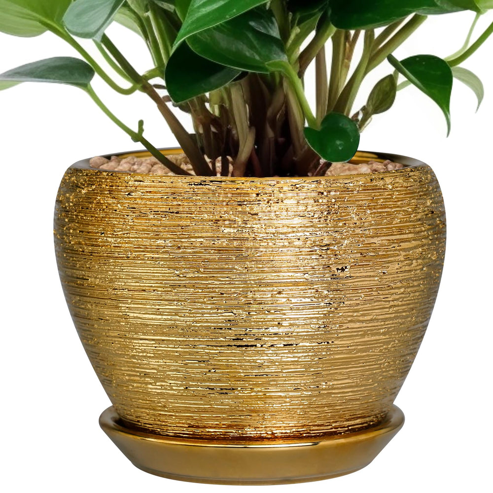Ceramicfor 6 Inch Indoor Plant Pot in gold with drainage hole