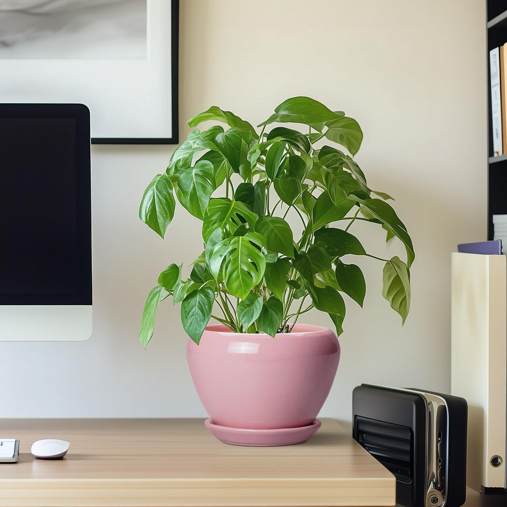 Ceramicfor 6 Inch Pink Plant Pot displayed on a table