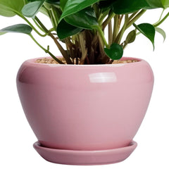 Ceramicfor 6 Inch Pink Plant Pot front view with drainage hole
