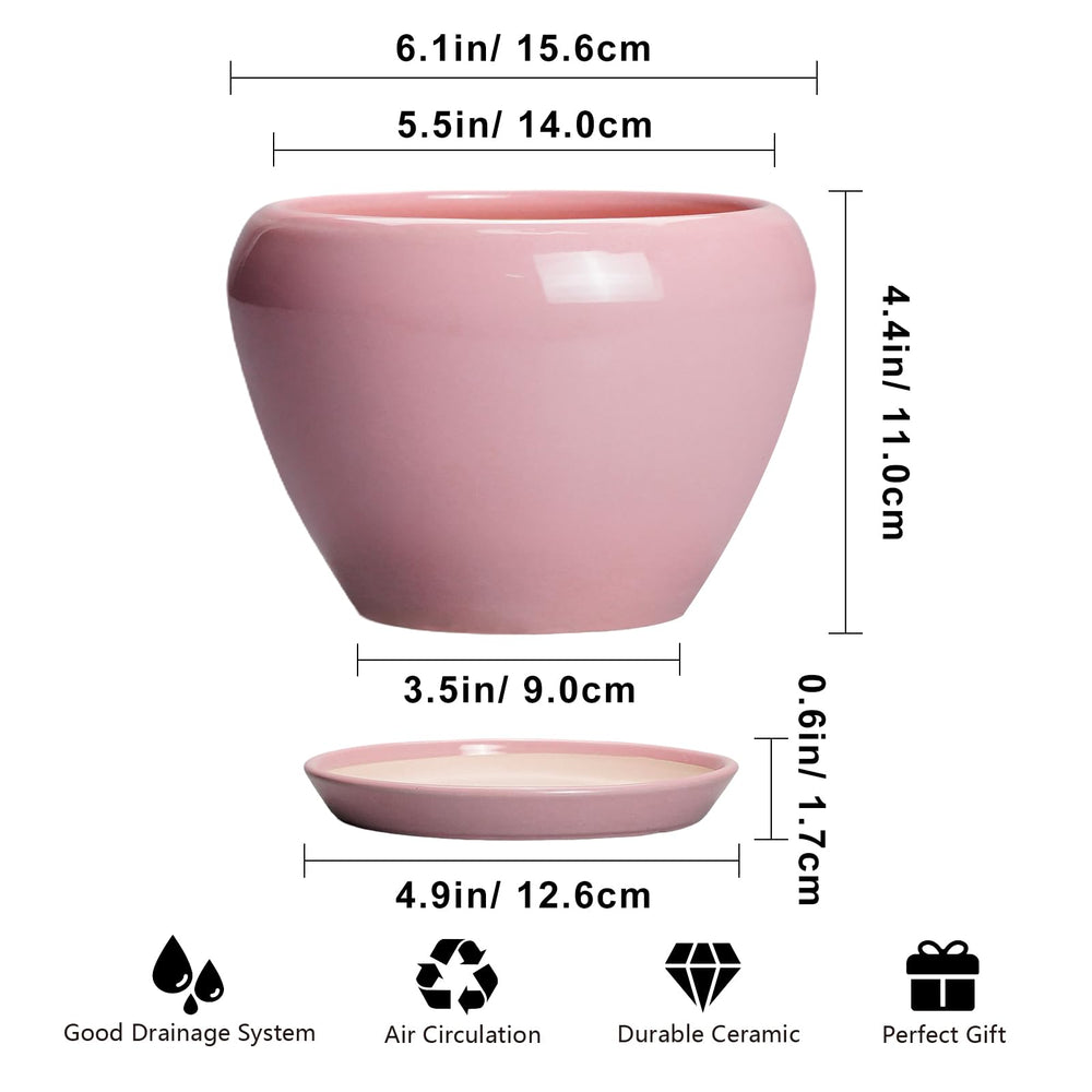 Ceramicfor 6 Inch Pink Plant Pot with plant arrangement