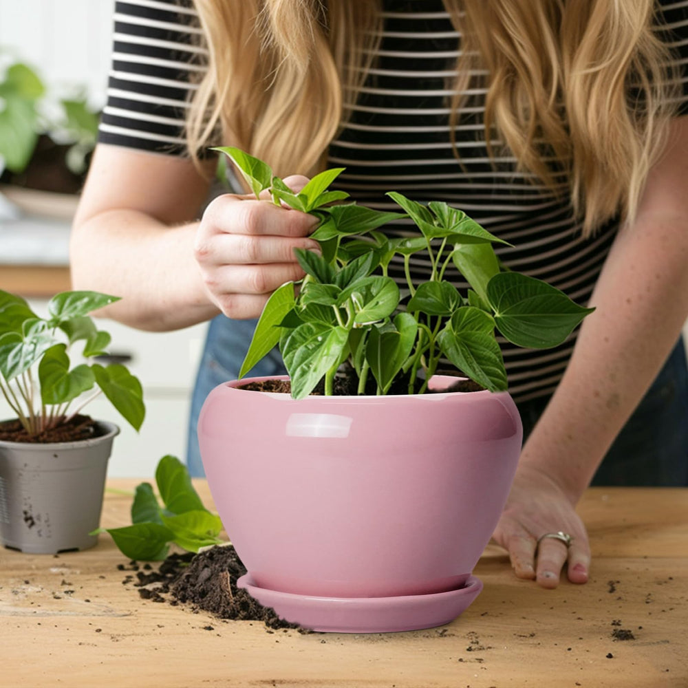Ceramicfor 6 Inch Pink Plant Pot with succulent inside
