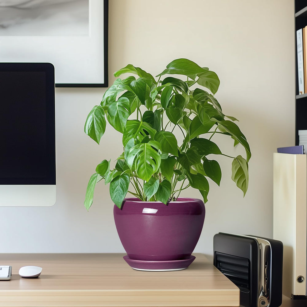 Ceramicfor 6 Inch Plant Pot in a living room setting