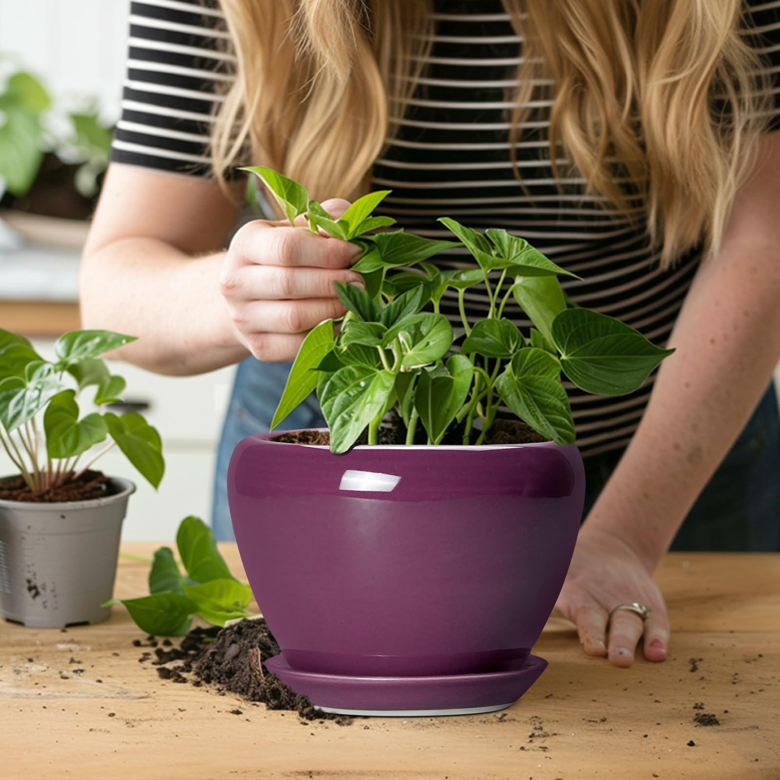 Ceramicfor 6 Inch Plant Pot with succulent inside