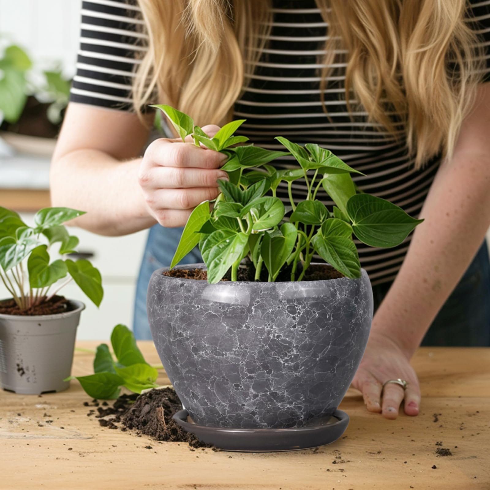 Ceramicfor 6 Inch planter displayed on a windowsill