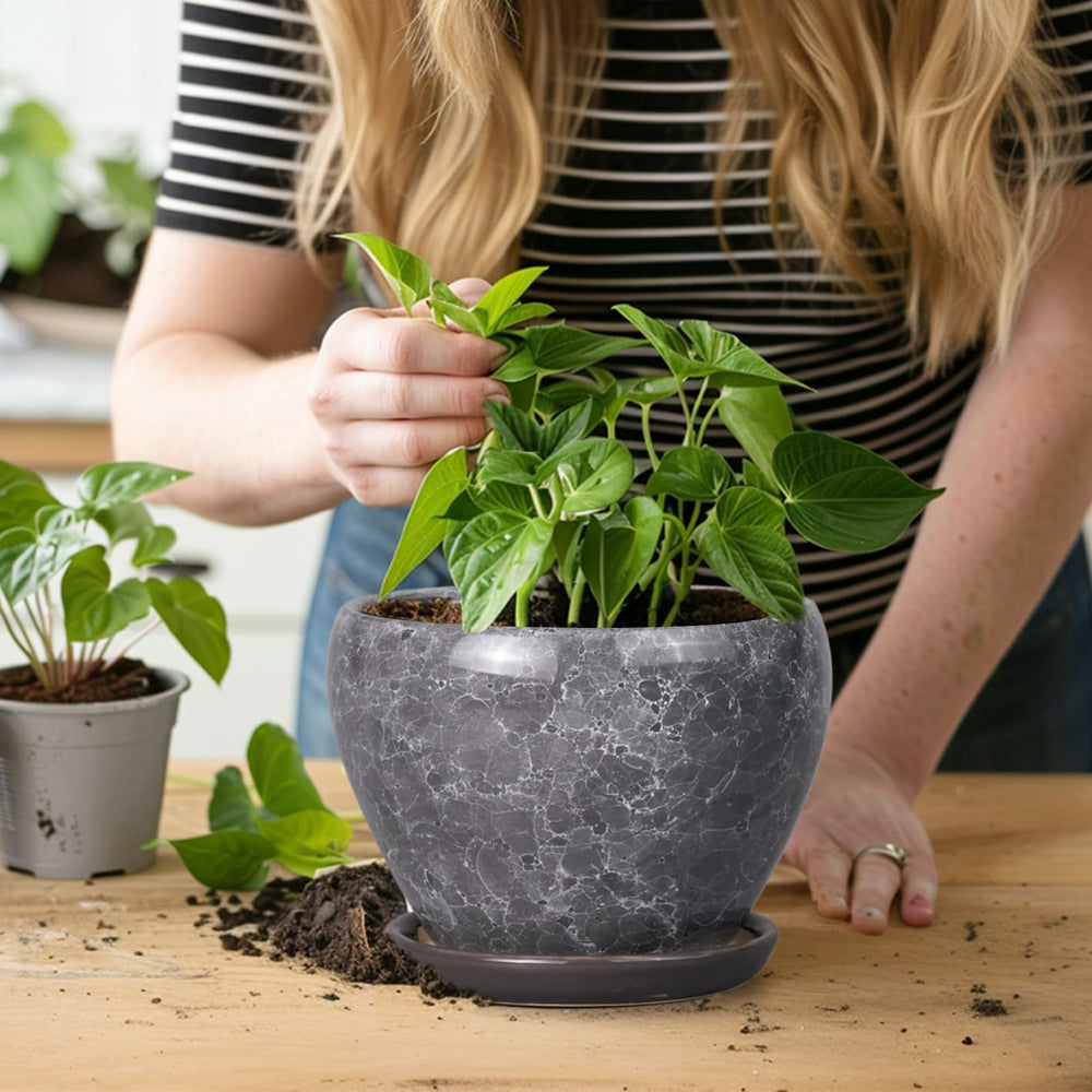 Ceramicfor 6 Inch planter displayed on a windowsill