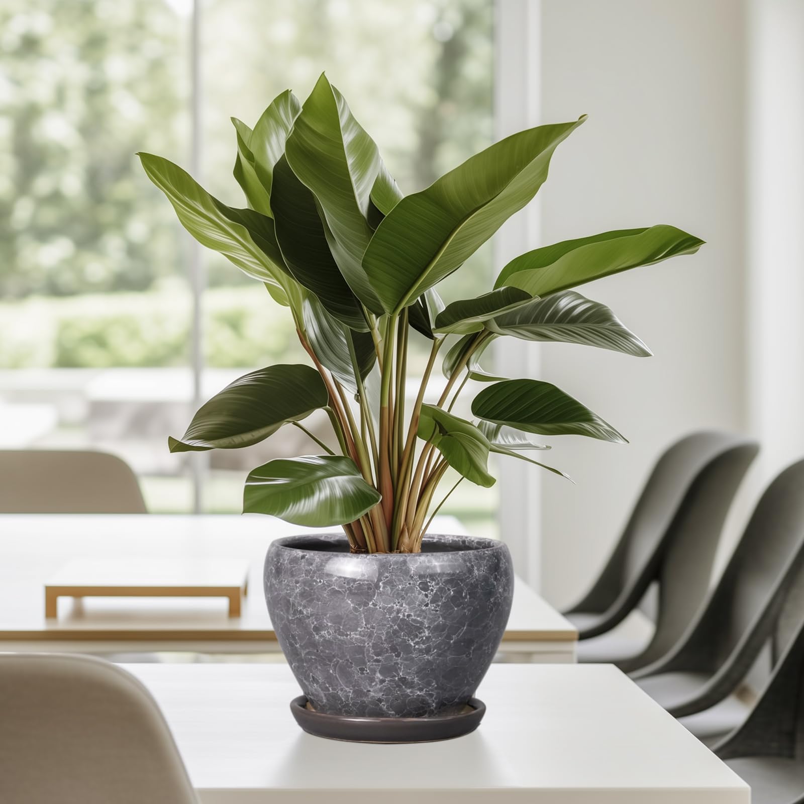 Ceramicfor 6 Inch planter in a modern home decor setting