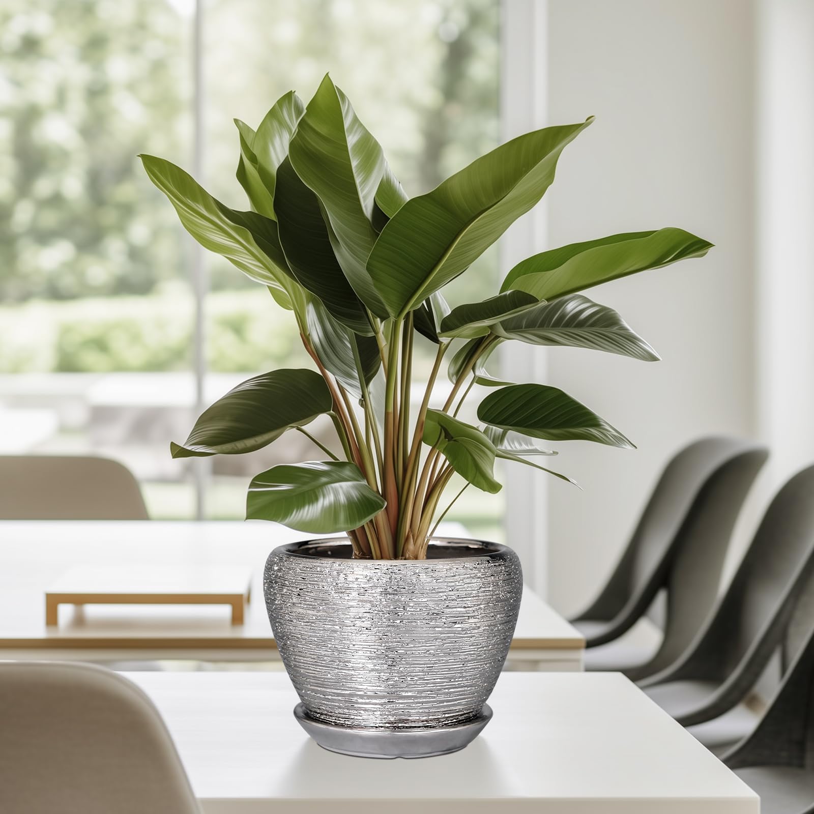Ceramicfor 6 Inch Planter in Modern Home Setting