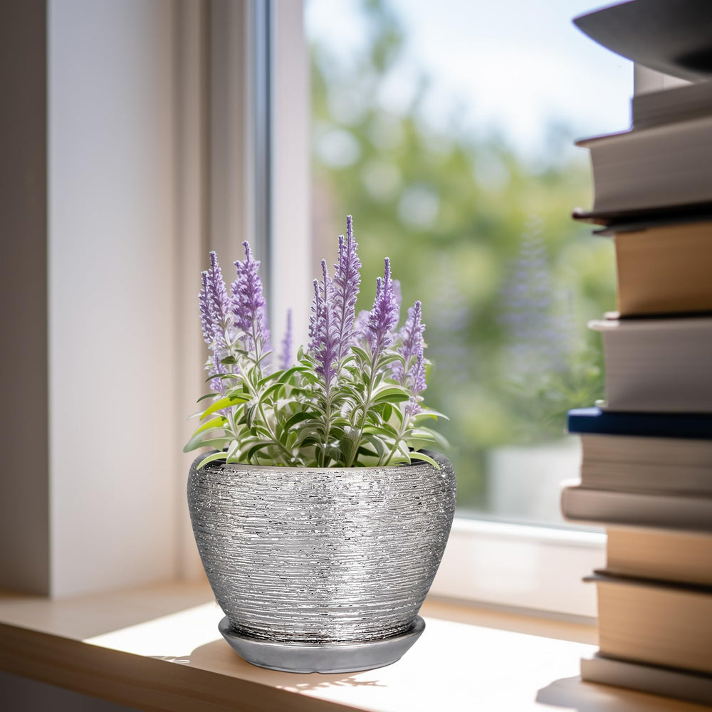 Ceramicfor 6 Inch Planter on Office Desk with Succulent