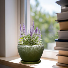 Ceramicfor 6 Inch Planter Pot on a windowsill