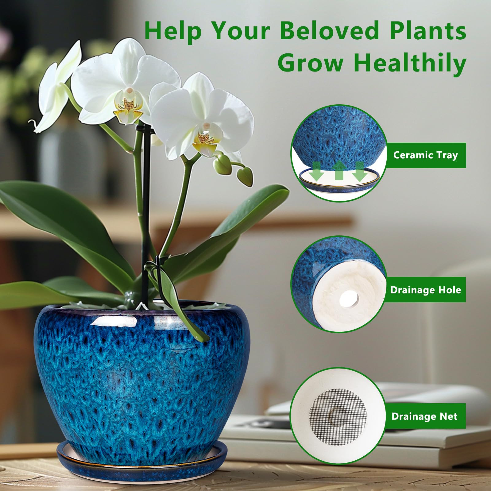 Ceramicfor 6 Inch Planter Pot with green succulent plant