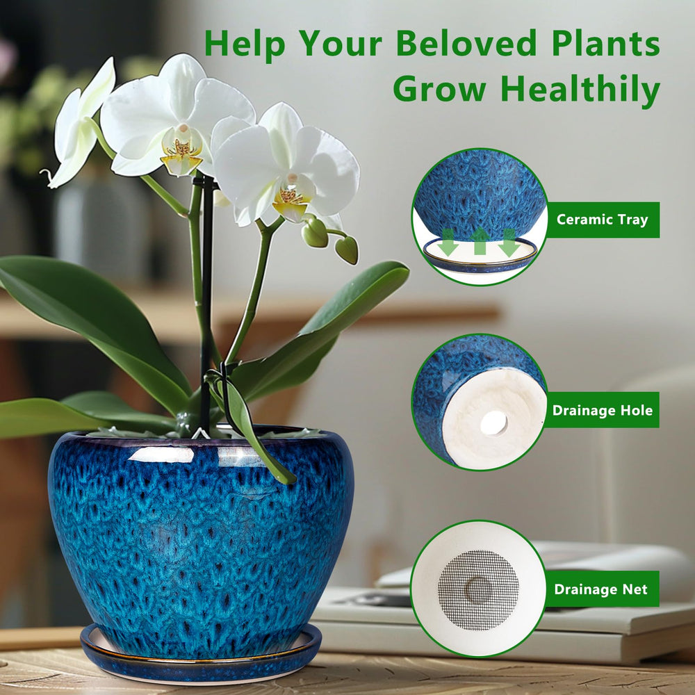 Ceramicfor 6 Inch Planter Pot with green succulent plant