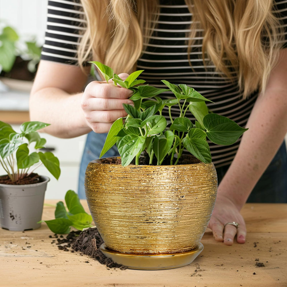 Ceramicfor 6 Inch planter with an orchid inside
