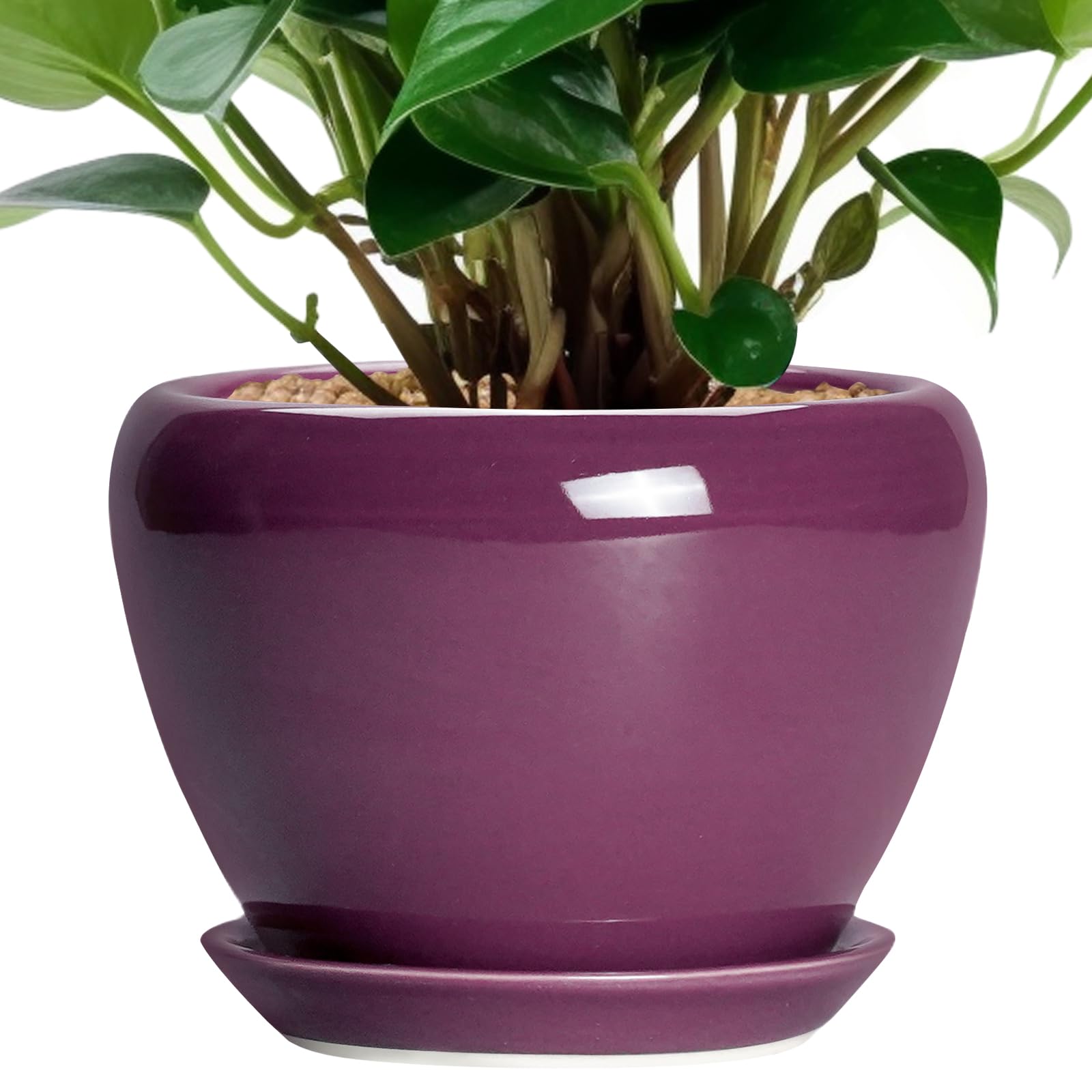 Ceramicfor 6 Inch Purple Ceramic Plant Pot front view