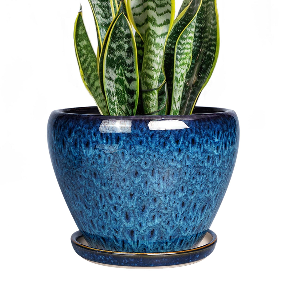 Ceramicfor 8 Inch Blue Ceramic Plant Pot front view