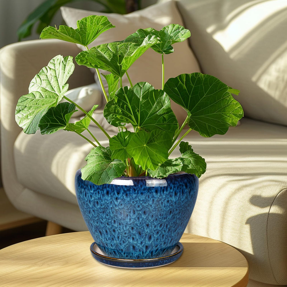 Ceramicfor 8 Inch Blue Plant Pot with saucer