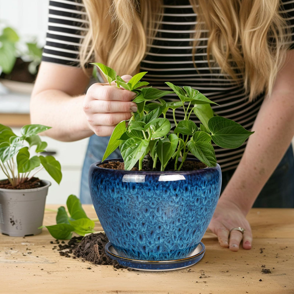 Ceramicfor 8 Inch Blue Plant Pot with succulent inside