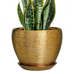 Ceramicfor 8 Inch Gold Ceramic Planter with Drainage Hole and Saucer