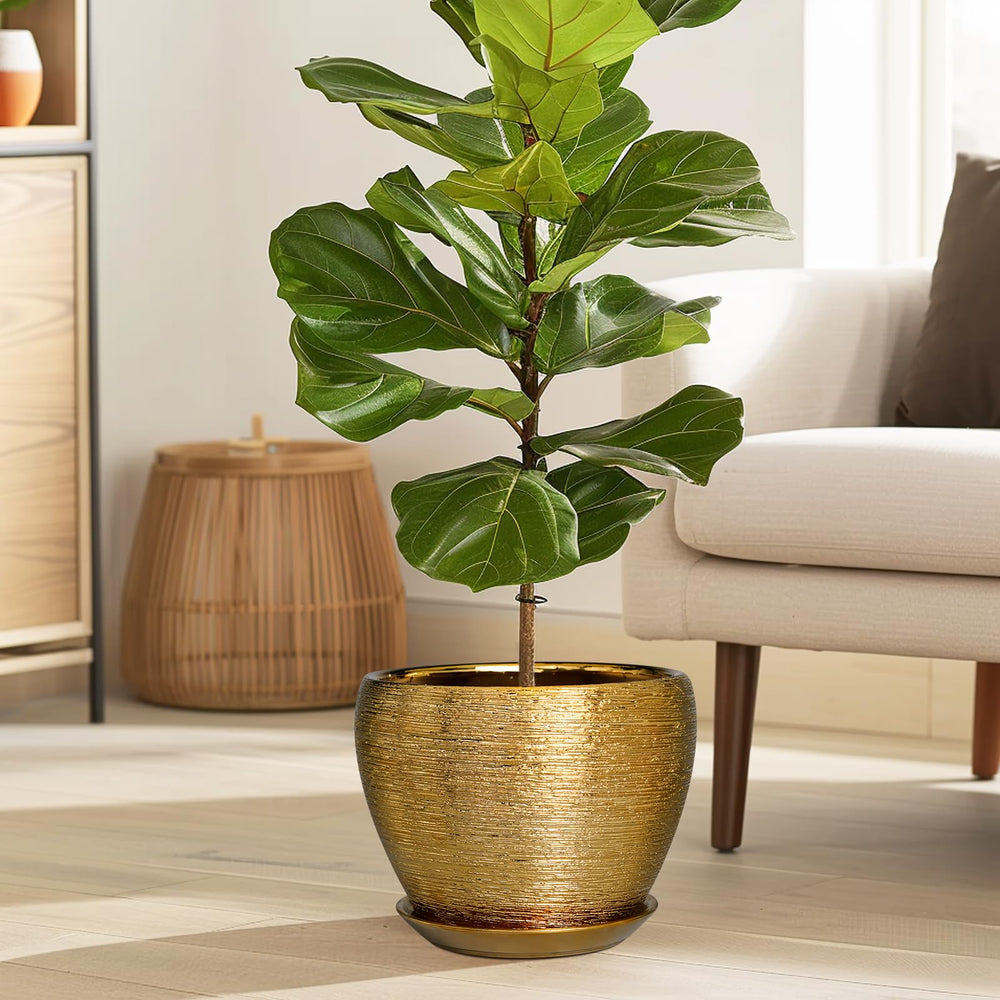 Ceramicfor 8 Inch Gold Planter with ceramic saucer included