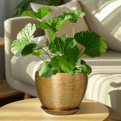 Ceramicfor 8 Inch Gold Planter with succulent plants for home decor