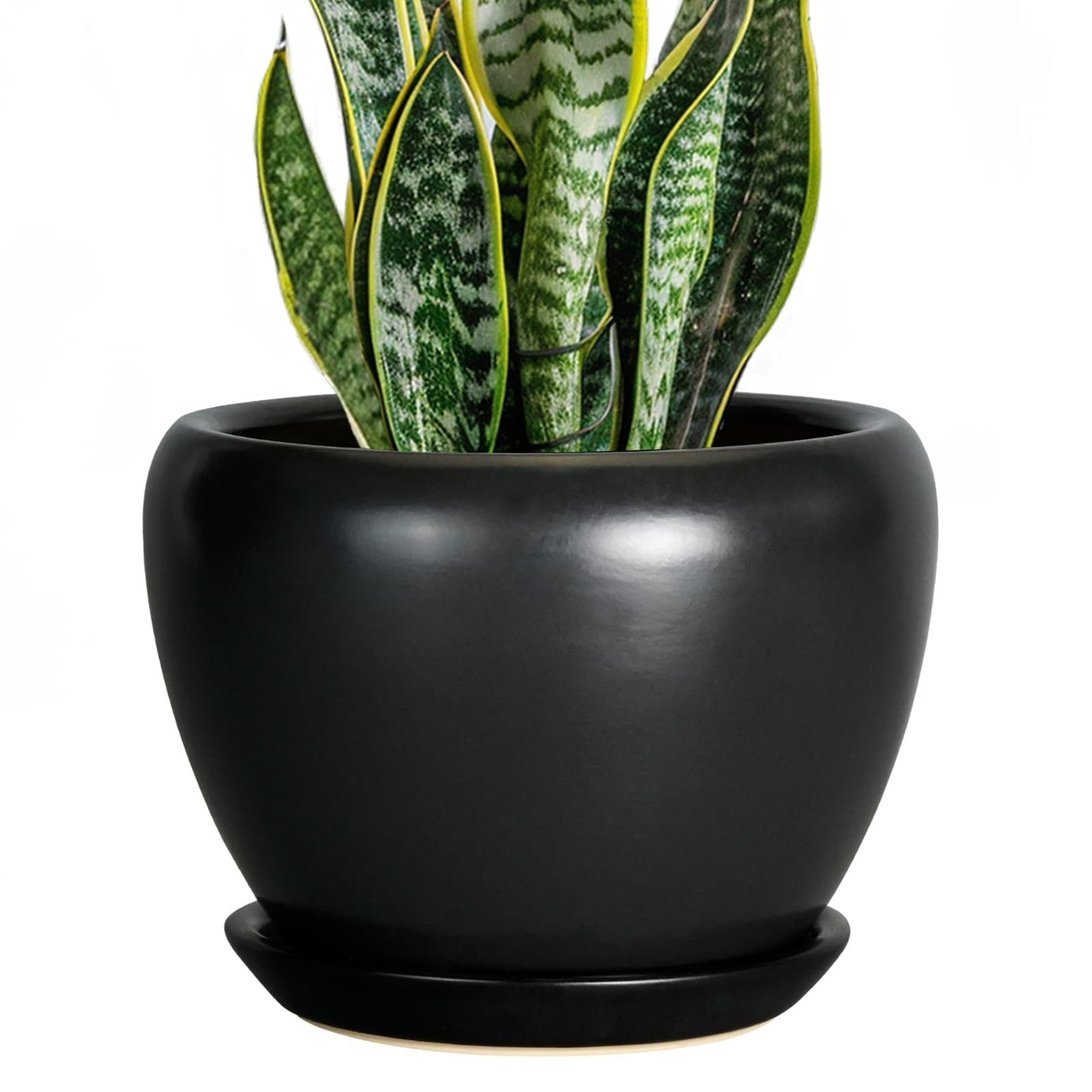 Ceramicfor 8 Inch Matte Black Planter Pot front view