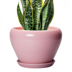 Ceramicfor 8 Inch pink ceramic succulent planter pot front view