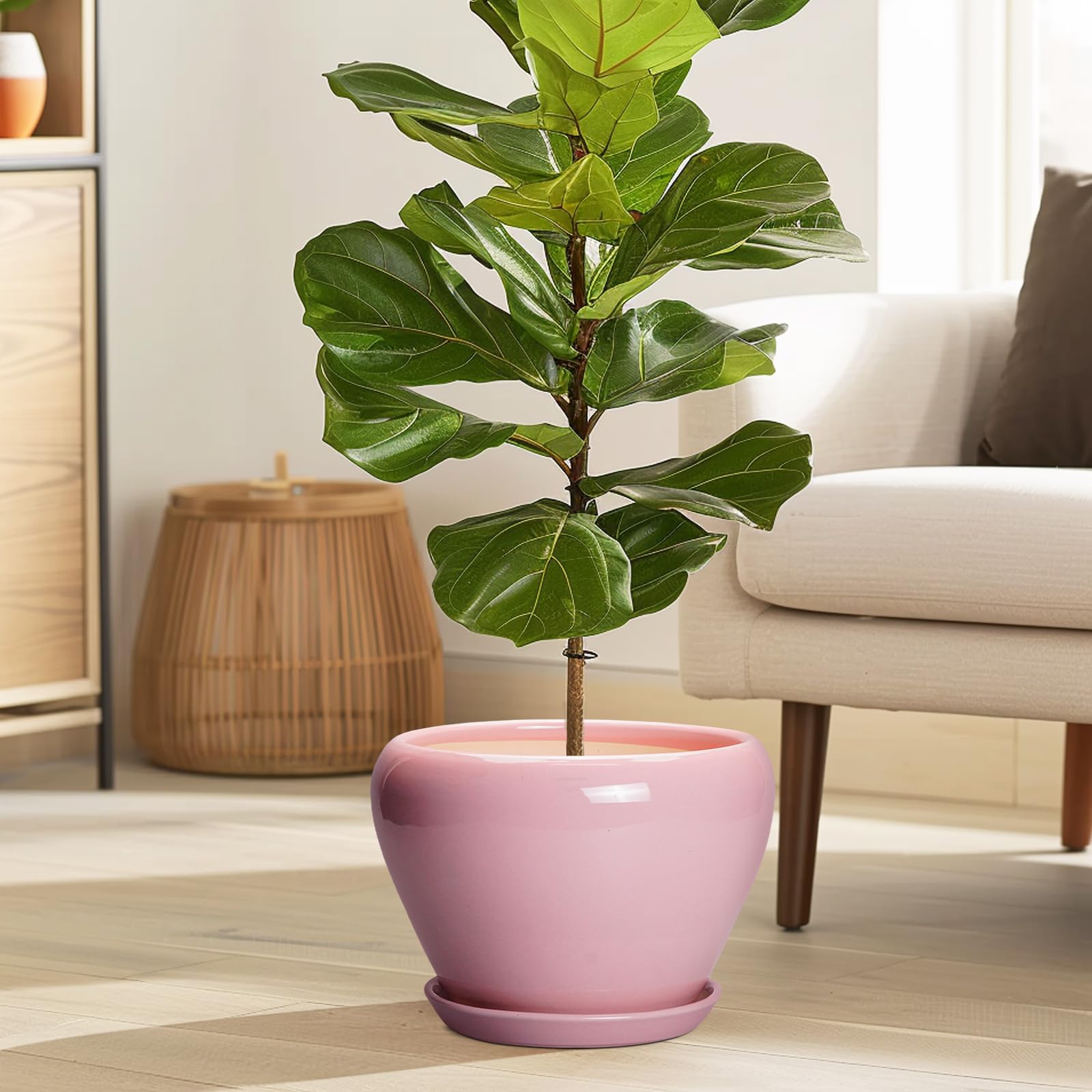 Ceramicfor 8 Inch pink succulent planter with drainage hole
