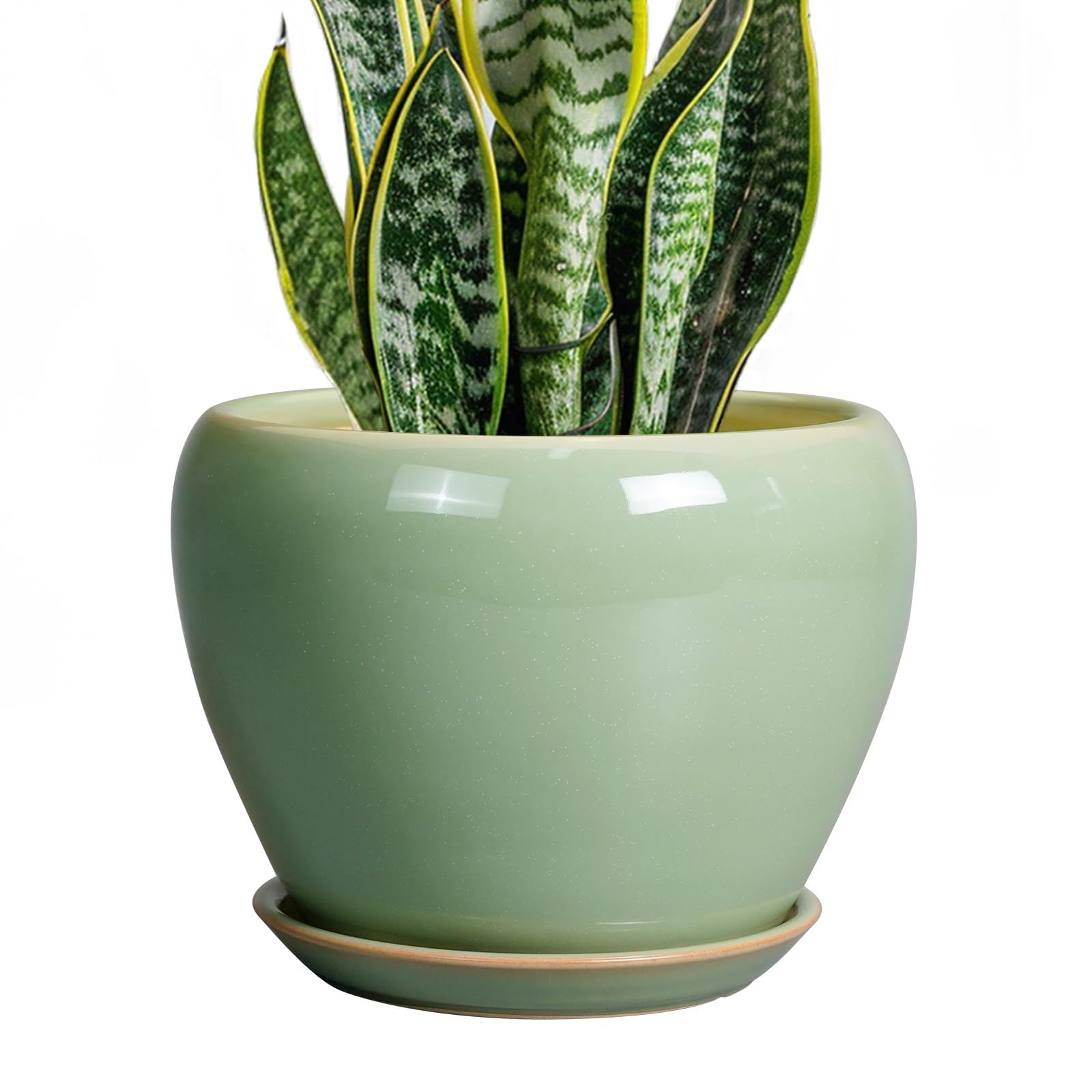 Ceramicfor 8 Inch Plant Pot front view in reactive green