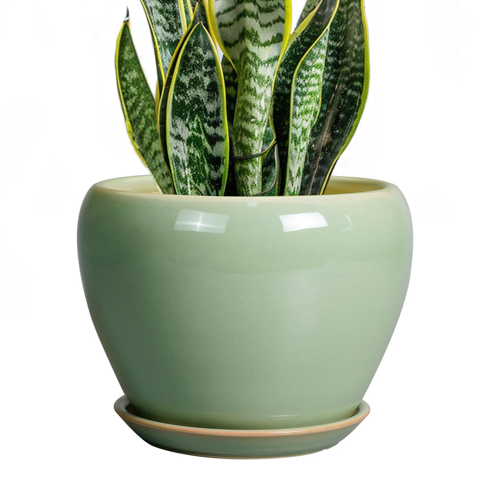 Ceramicfor 8 Inch Plant Pot front view in reactive green