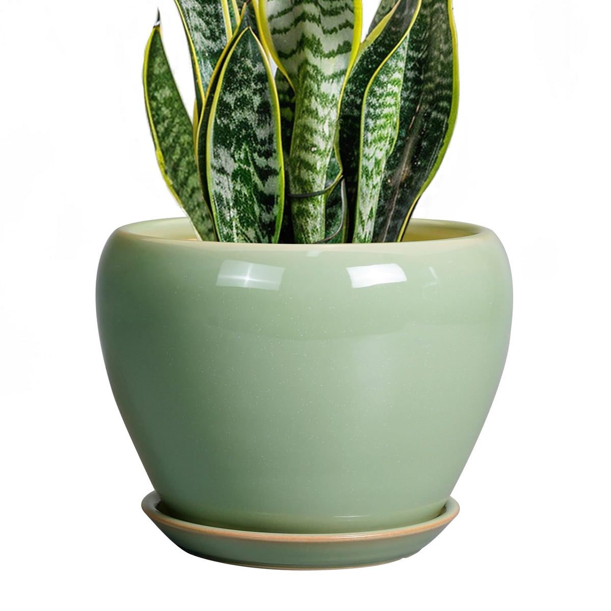 Ceramicfor 8 Inch Plant Pot front view in reactive green